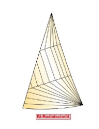 Bi-Radialschnitt Segel