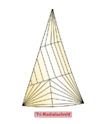 Tri-Radialschnitt